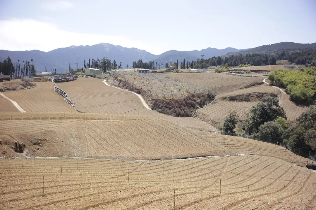 海口企业网站建设中的响应式布局技术要点与常见误区